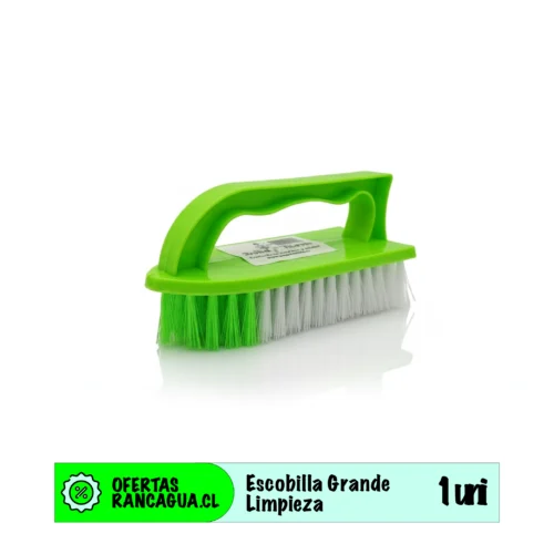 Escobilla limpieza grande