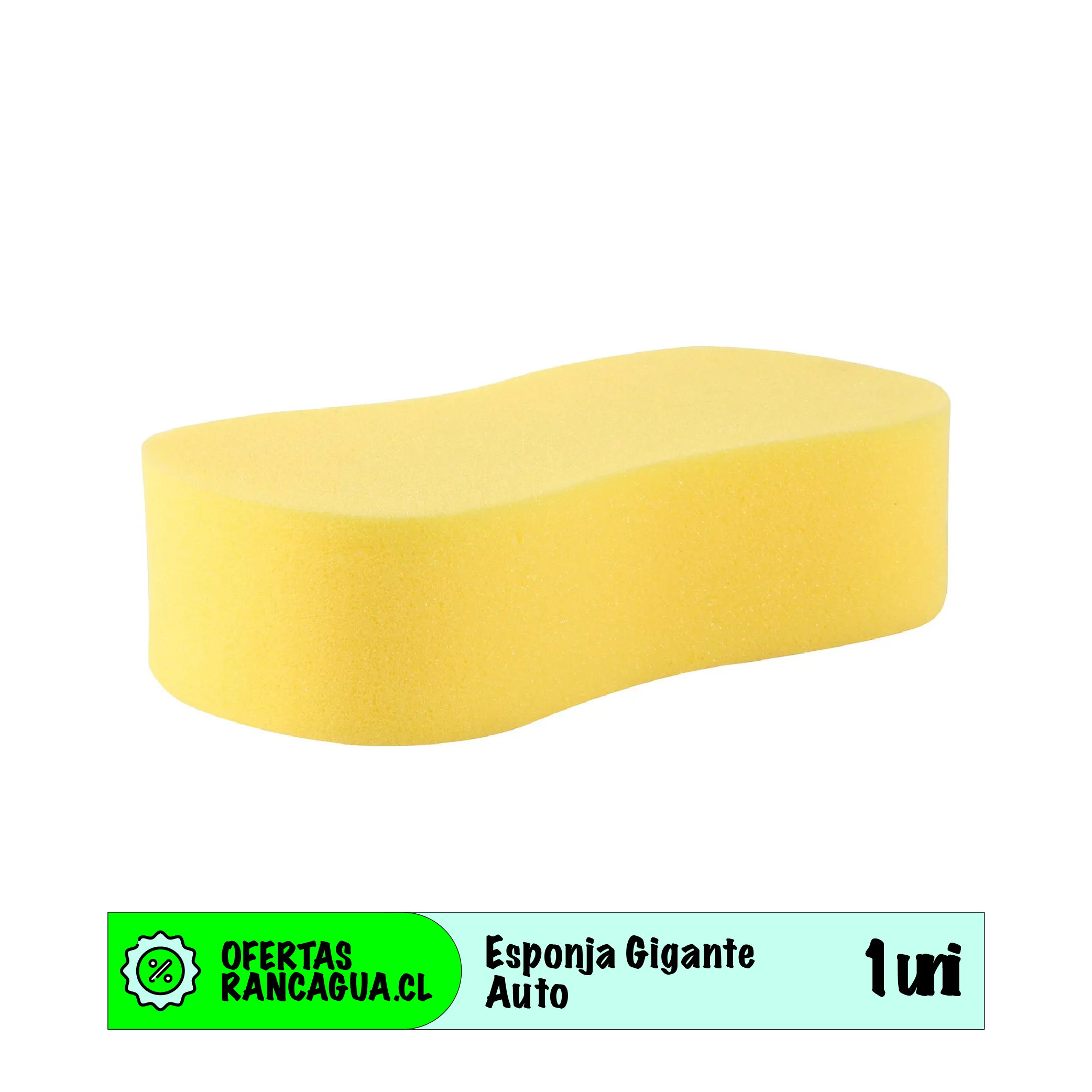Esponja para Auto