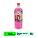 Shampoo Auto Concentrado 1LT